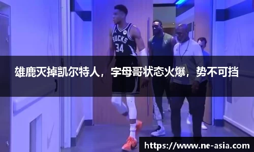 完美体育在线入口官网