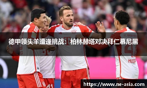 完美体育官网