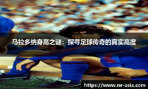完美体育官网