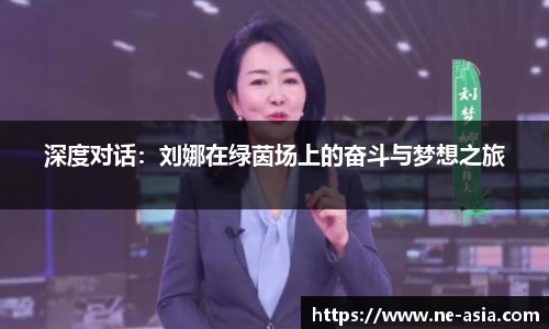 完美体育app下载安装