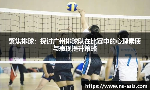 完美体育在线入口官网