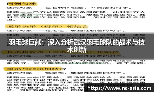 完美体育