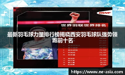 完美体育