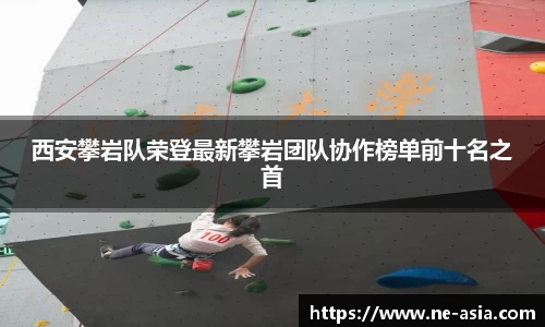 完美体育官网