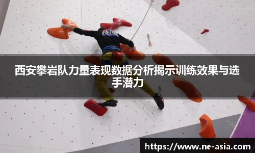 完美体育官网