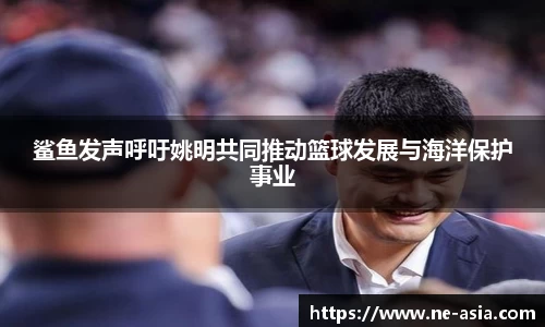 完美体育在线入口官网