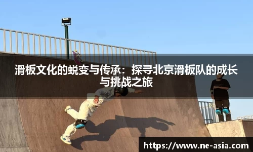 完美体育