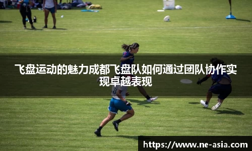 完美体育