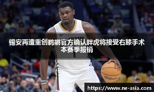 完美体育在线入口官网