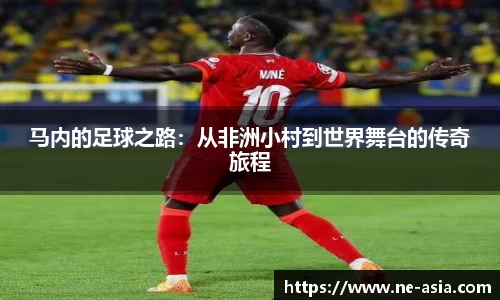 完美体育在线入口官网