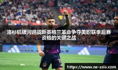 完美体育在线入口官网