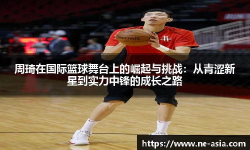 完美体育在线入口官网