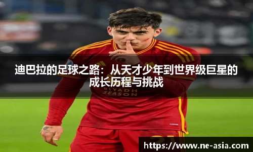 完美体育app下载安装