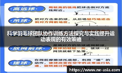 完美体育官网