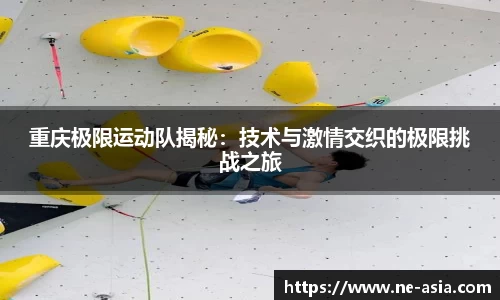 完美体育官网